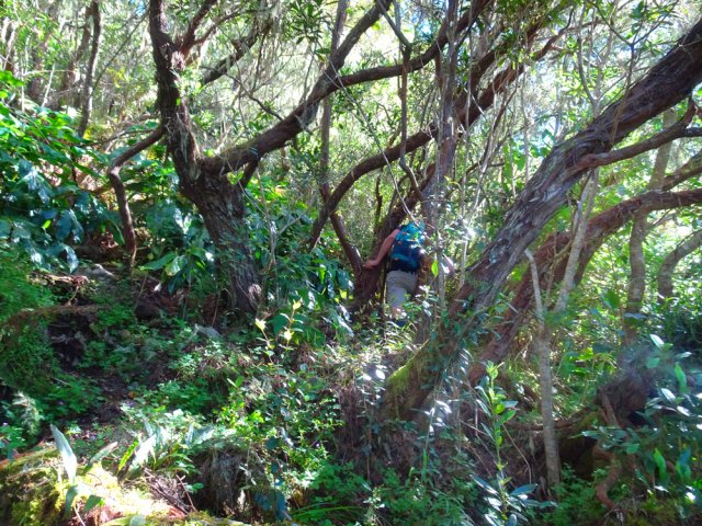 Le sentier reste visible jusqu'à la fin de la montée