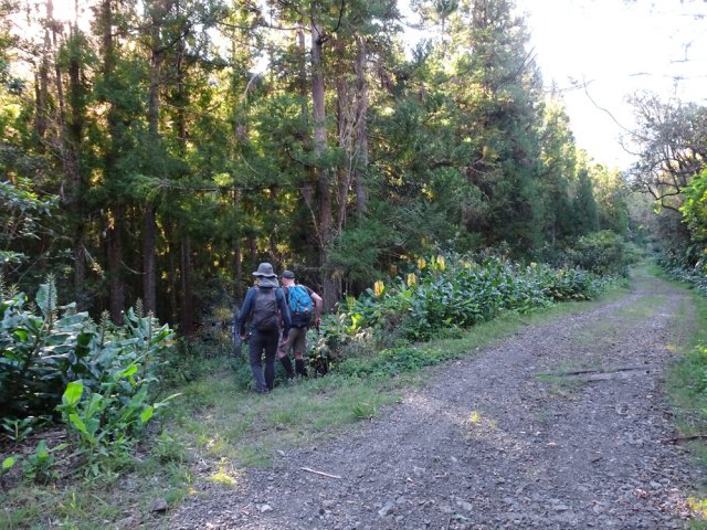 Quitter la piste pour en emprunter une autre, plus discrète