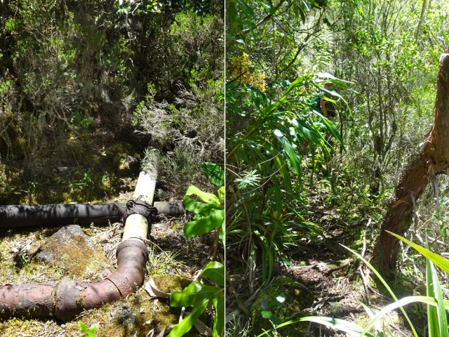 A mi-descente, écart pour aller aux cascades du Bras de Benjoin