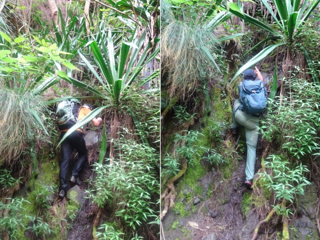 Nouveau câble pour quitter la cascade