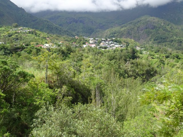 Point de vue sur Palmiste Rouge