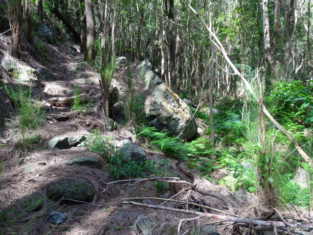 Repérer ce gros rocher en fin de descente pour partir vers la ravine