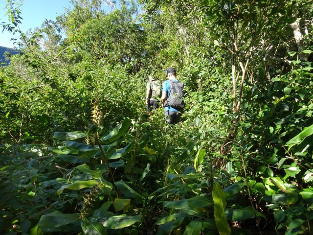 Longoses et galaberts, mais la trace ne se perd pas des yeux