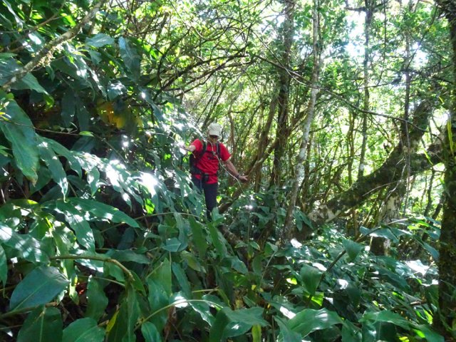 Les portions à plat sont très rares