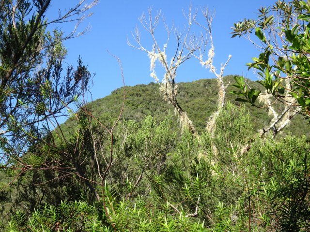 On aperçoit le sommet du piton 1562 qui demandera quelques efforts pour l'atteindre