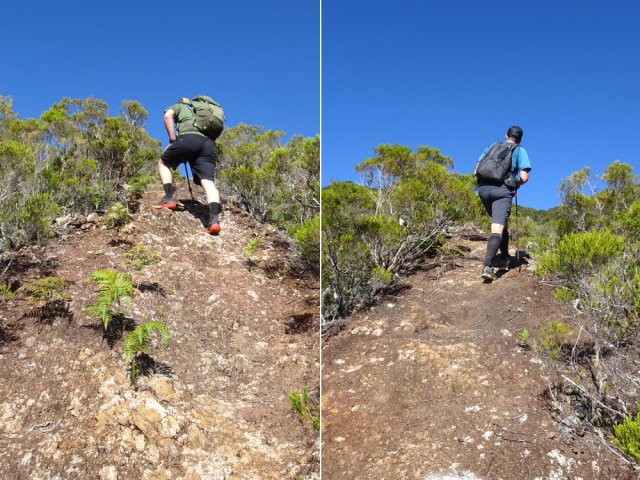 Les branles remplacent les longoses et le sentier s'élargit naturellement