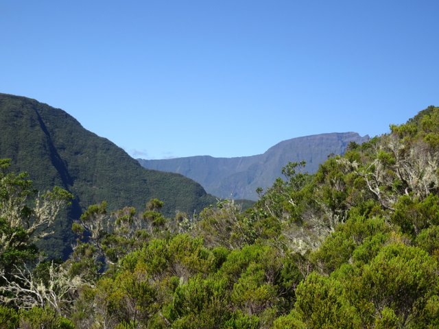 Des vues de plus en plus nombreuses sur le Piton Fougères et le Gros Morne
