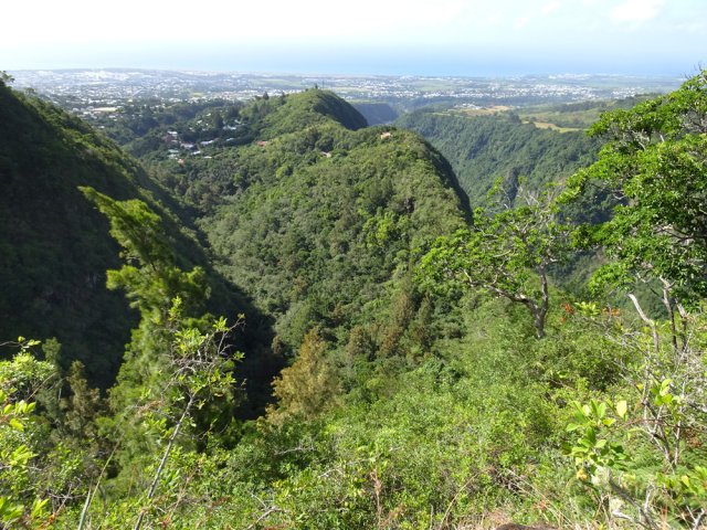 Montauban entre la vallée de la Ravine Montauban et celle de la Rivière des Pluies