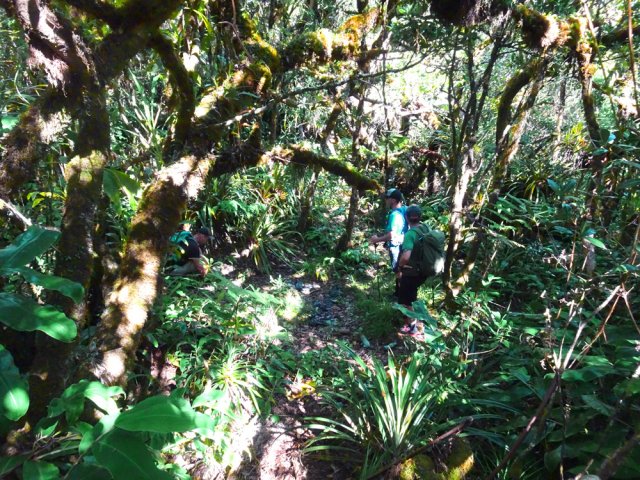 La clairière des braconniers peut représenter la fin de cette montée