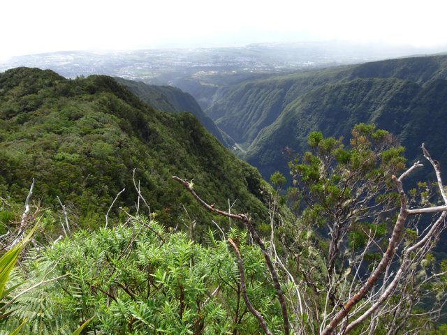 Le piton 1562 et la vallée profonde de la Rivière des Pluies