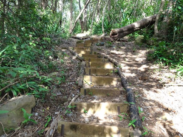 Et bien sûr de belles marches en bois pour faciliter la montée