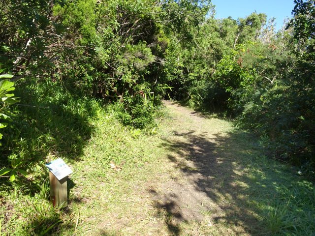 Emprunter le Sentier de Découverte pour étudier des essences ou s'approcher des aires de jeu