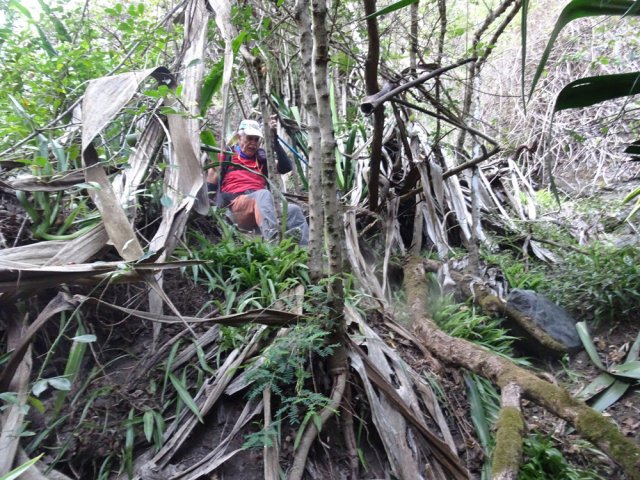 Un éboulis se contourne par la droite au prix de quelques glissages sur les fesses
