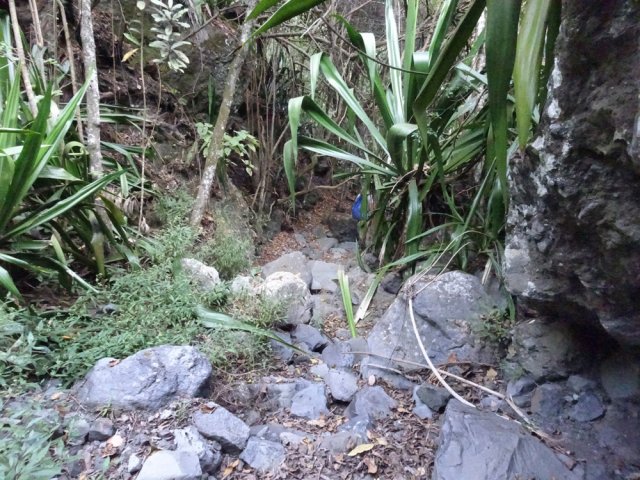 Quand le sentier est trop encombré, il vaut mieux poursuivre par le lit rocheux du Bras des Merles