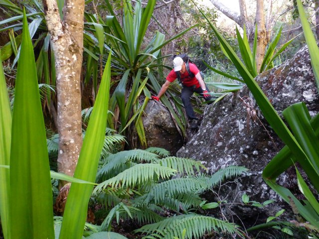 Le sentier historique est toujours situé près des berges