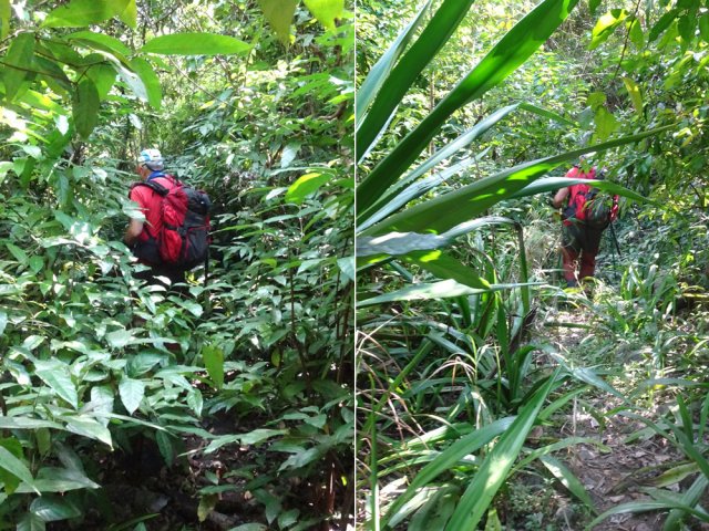 La descente est plus facile sur le sentier quand il est encore visible