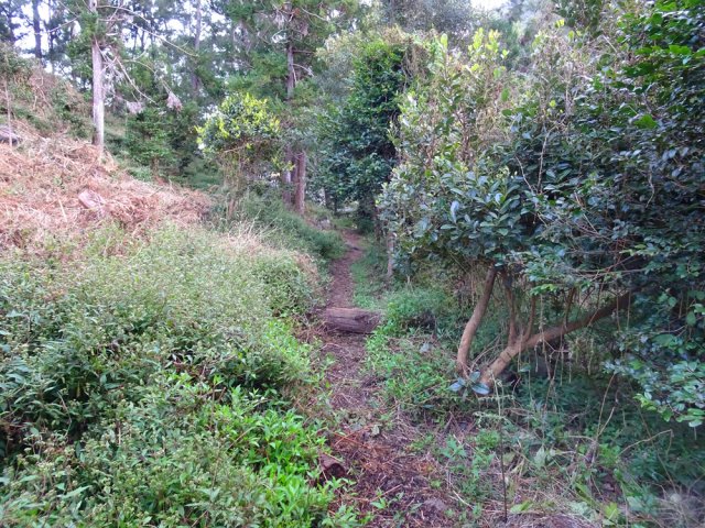 Au départ, le sentier est très bien entretenu