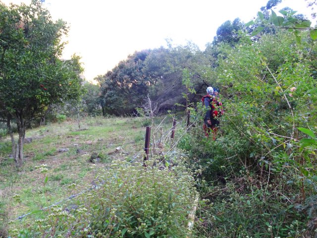 Ne pas pénétrer dans le verger mais longer la clôture au risque de quelques griffures