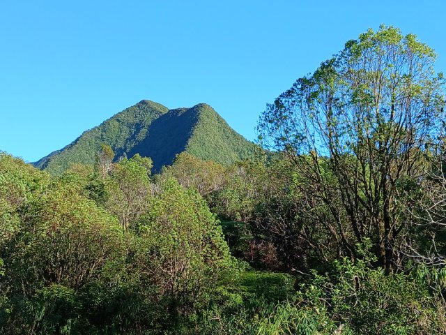 Le Morne du Bras des Lianes, seul véritable panorama de la matinée