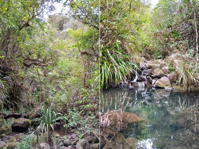 Des parties en bassins suivent de près des portions à sec