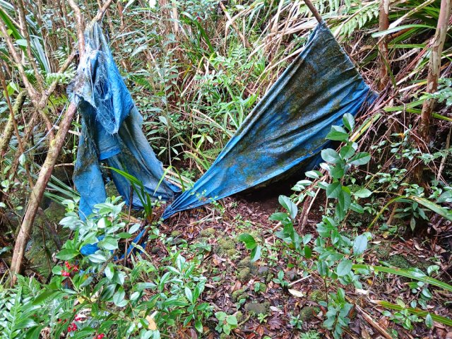 Les braconniers sont ici particulièrement au calme