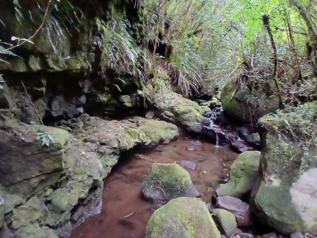 Très peu de parties en canyon