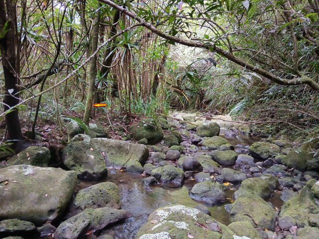 Sentier très difficile à repérer. Ne pas manquer cette discrète coche sur l'écorce