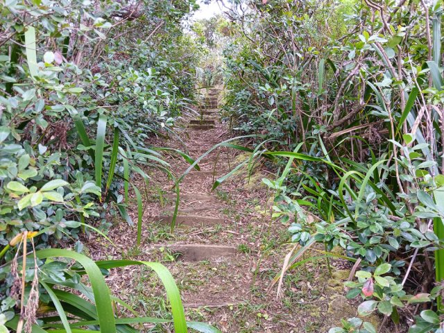 Longue portion de marches de la boucle de l’Éden