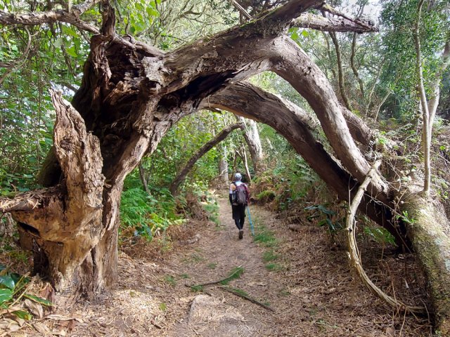 Les cyclones laissent toujours quelques cadavres derrière eux