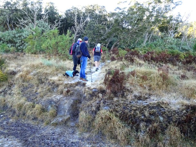 On rencontre très vite le sentier menant au bord du rempart de Mafate