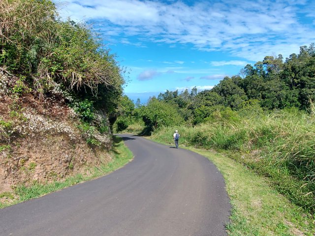 Route agréable en descente aux alentours de la Source Paul Hermann