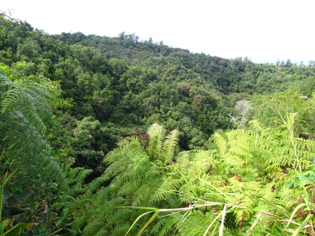On domine la très profonde Ravine du Ruisseau