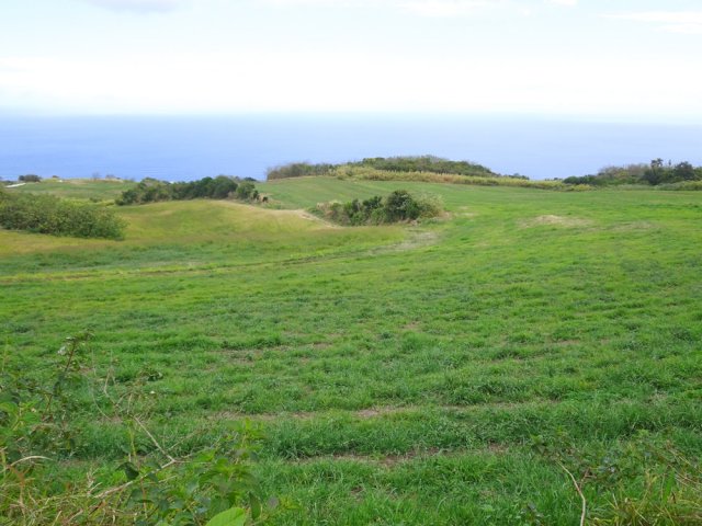 Vastes prairies avec vue sur l'océan