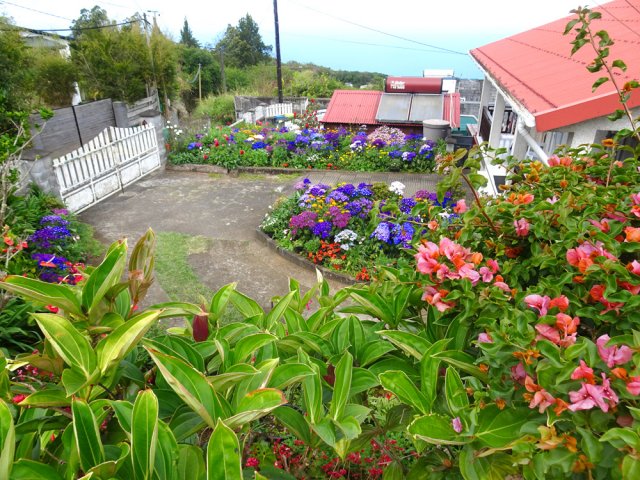 Certaines habitants aiment vraiment les fleurs