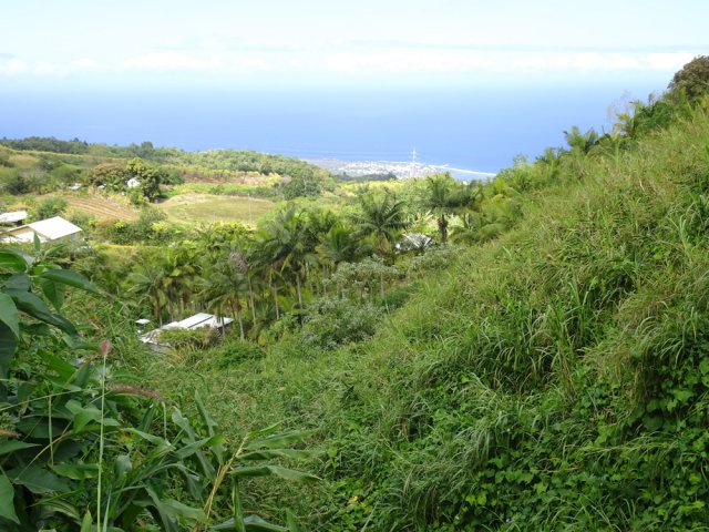 Le regard porte jusqu'à l’Étang Salé les Bains