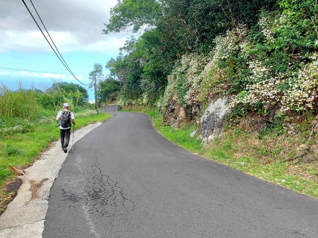La fin de la route de Bras Sec, toujours aussi calme