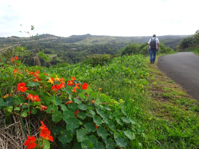 On s'approche rapidement du Piton Forcade