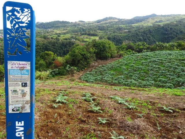Chaque panneau pédagogique le long du parcours traite d'un thème