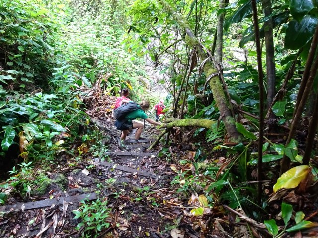 La très forte descente vers le Bras du Malabar Mort