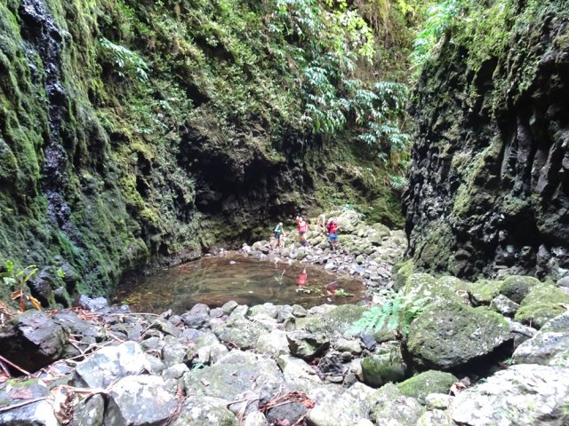 Toujours à l'ombre, l'eau du bassin reste très fraîche