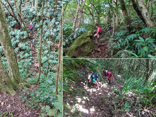 Les mains sont très souvent sollicitées pour faciliter la grimpette