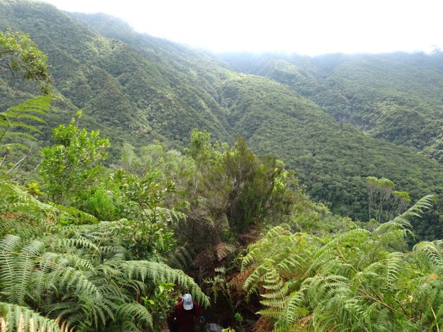 Quelques points de vue sur le chemin parcouru