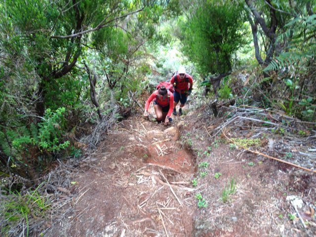 Les derniers coups de rein avant d'atteindre le sentier de la Pièce Jeanne