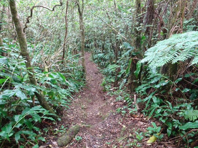 Le sentier ressemble au précédent mais ne comporte plus de montées