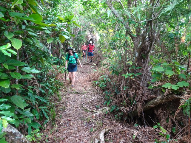 Après le Malabar Mort, la descente est une balade sur un très beau sentier