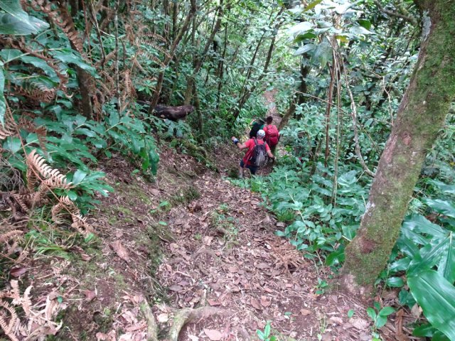 La pente s'accentue par moments