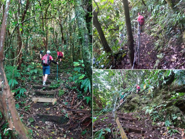 Premières marches, rambardes et échelles