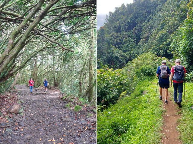 Qu'il soit large ou étroit, le parcours est toujours agréable