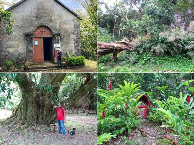 La petite chapelle et ses alentours