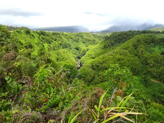 Nombreux points de vue sur la Rivière des Roches et vers Salazie